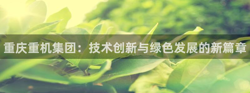 顺盈娱乐保究7276O
