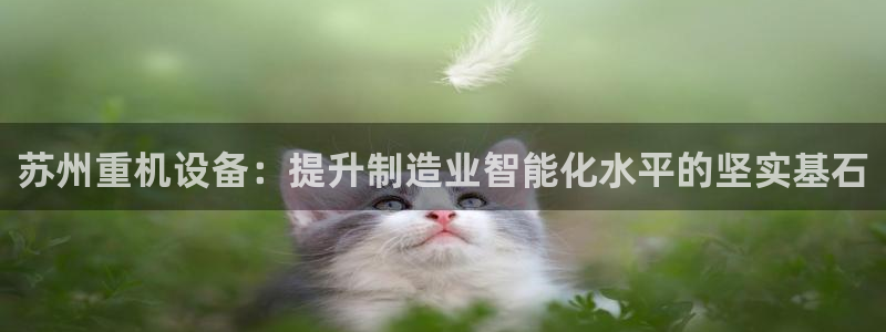 顺盈2娱乐主管刘判官333OO