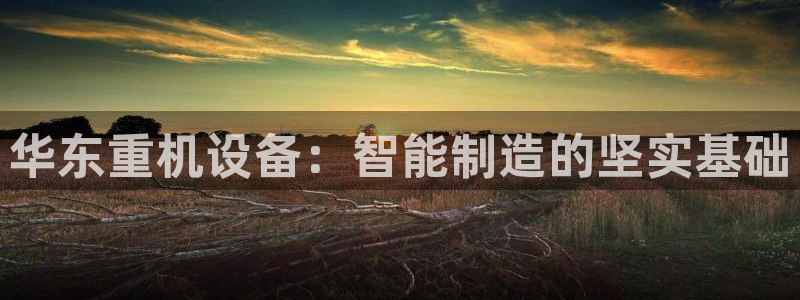 清远顺盈娱乐公司工作