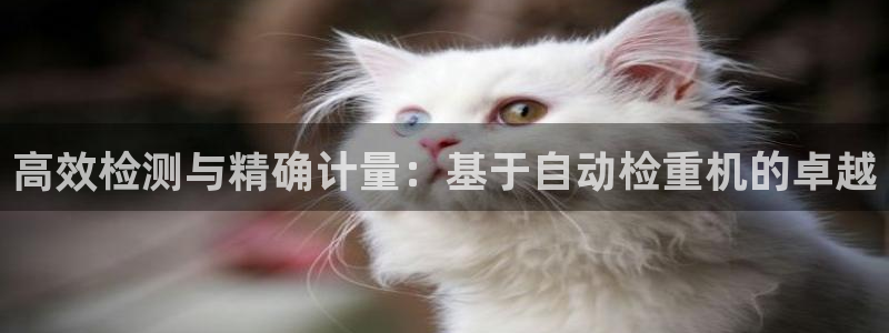 清远顺盈娱乐公司招聘吗