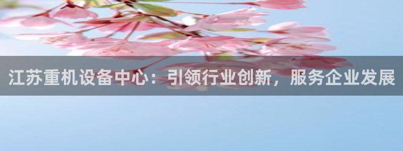 顺盈娱乐招商钱判官333OO：江苏重机设备中心：引领行业创新