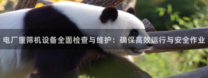 顺盈娱乐在线开户