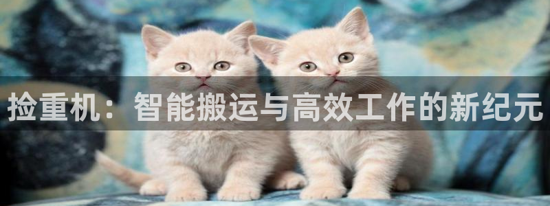 应县盈顺休闲娱乐室电话