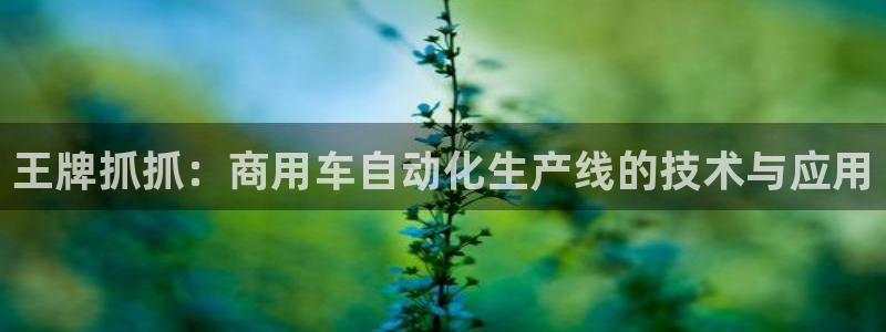 优盈娱乐顺122222