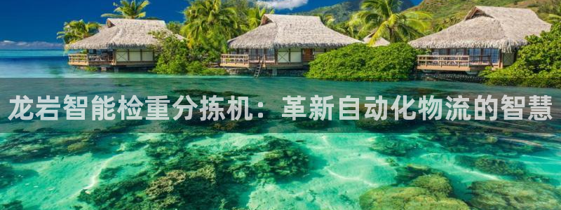 顺盈娱乐是什么意思：龙岩智能检重分拣机：革新自动化物流的智慧