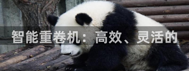 顺盈2娱乐游戏开发商：智能重卷机：高效、灵活的
