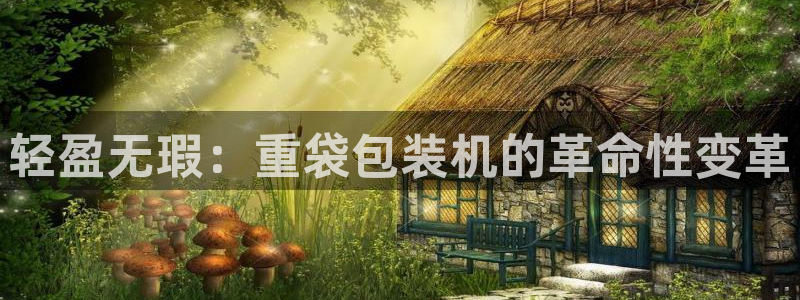顺盈娱乐招商网判官333OO：轻盈无瑕：重袋包装机的革命性变