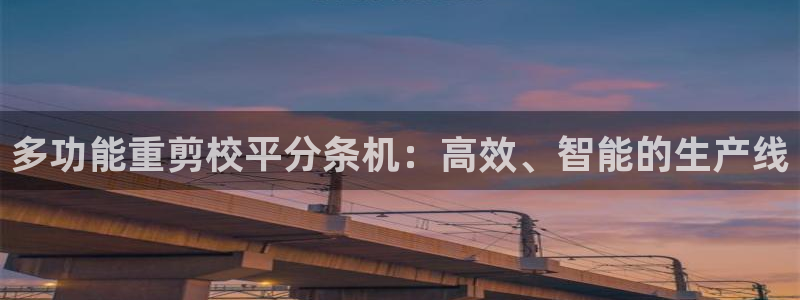 顺盈娱乐注册九判官333OO：多功能重剪校平分条机：高效、智