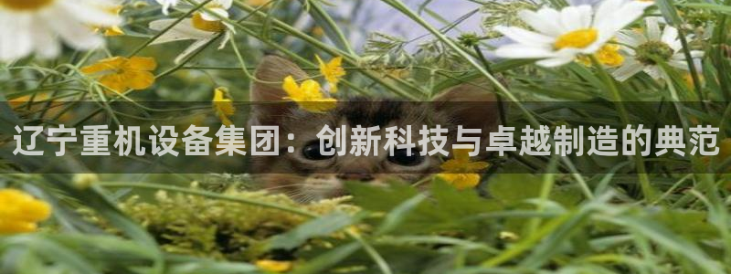 清远顺盈娱乐怎么样：辽宁重机设备集团：创新科技与卓越制造的典
