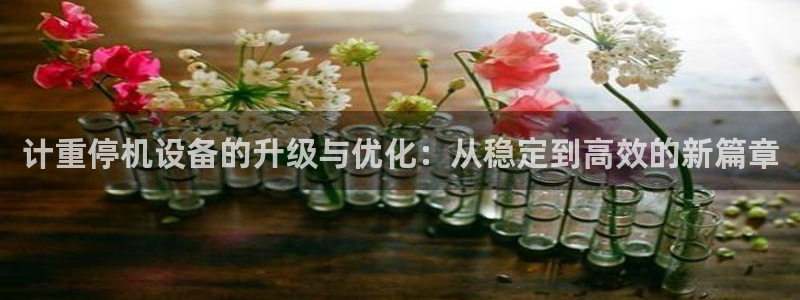 顺盈娱乐棋牌怎么样啊：计重停机设备的升级与优化：从稳定到高效