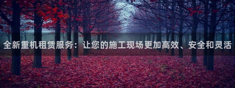 顺盈娱乐下载官网：全新重机租赁服务：让您的施工现场更加高效、