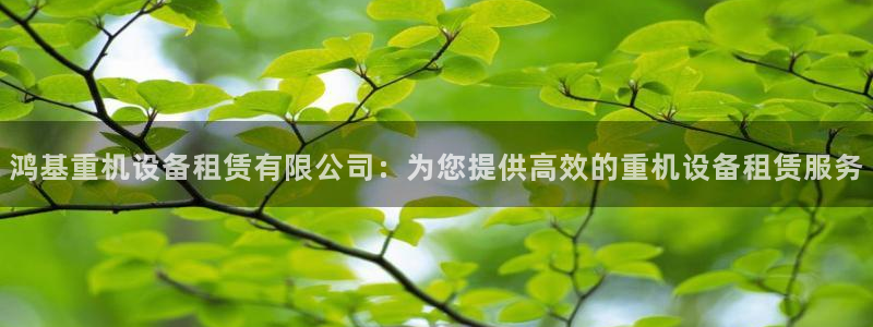 顺盈有什么娱乐场所：鸿基重机设备租赁有限公司：为您提供高效的