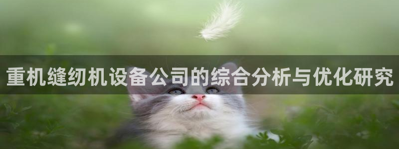 顺盈娱乐解答7276o：重机缝纫机设备公司的综合分析与优化研