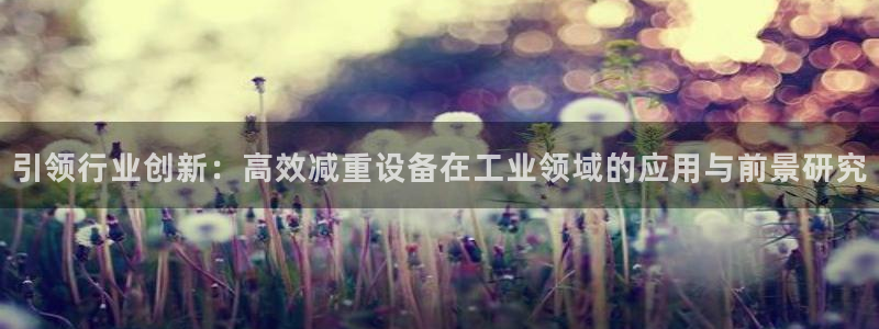 顺盈娱乐官网登录：引领行业创新：高效减重设备在工业领域的应用