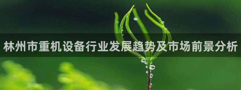 盈顺棋牌娱乐室怎么样：林州市重机设备行业发展趋势及市场前景分