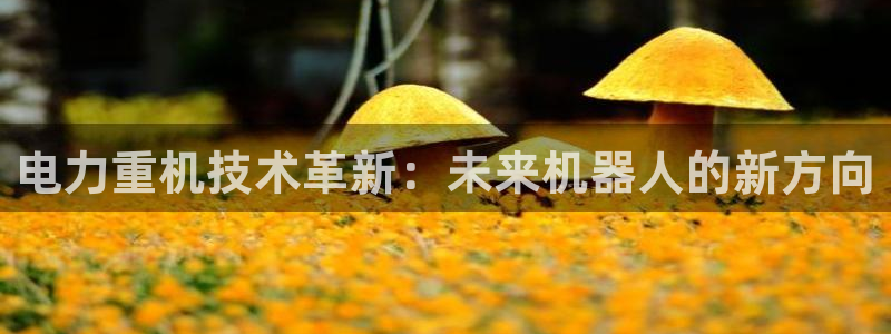 顺盈娱乐招商左原判官333OO：电力重机技术革新：未来机器人