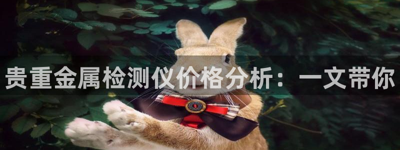 清远顺盈娱乐公司推荐