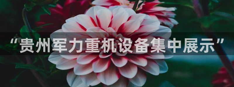 顺盈娱乐网址