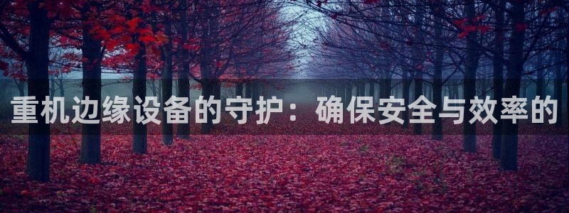 顺盈娱乐棋牌官网