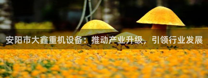 清远顺盈娱乐酒店