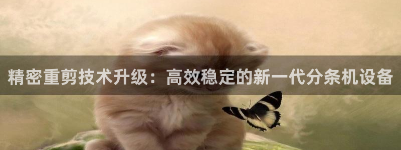 顺盈娱乐网
