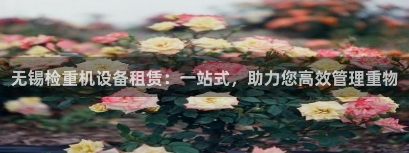 乐摇摇娱乐团购顺盈