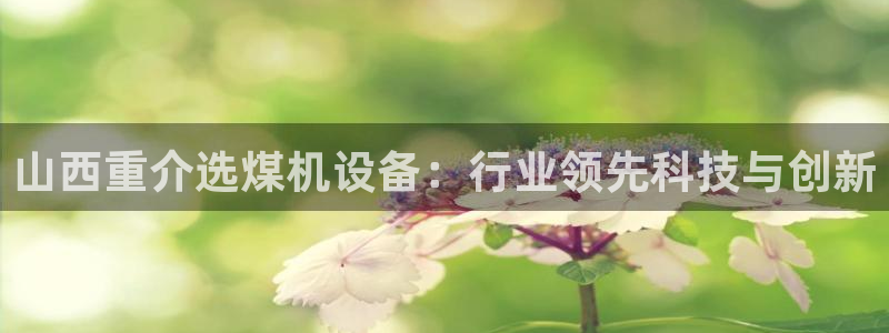 顺盈2娱乐平台注册：山西重介选煤机设备：行业领先科技与创新