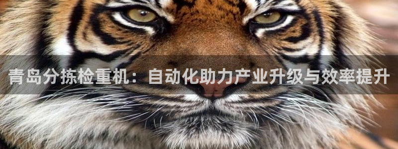 顺盈娱乐铜333OO