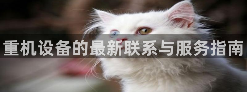顺盈娱乐下载：重机设备的最新联系与服务指南