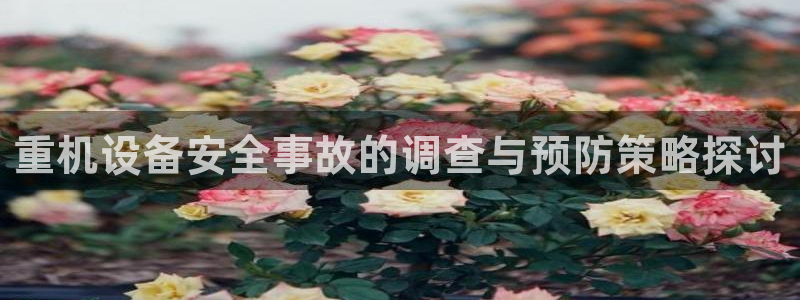 顺盈娱乐主管劳判官333OO