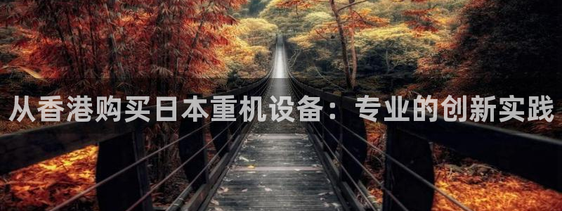 三水区顺盈棋牌娱乐：从香港购买日本重机设备：专业的创新实践