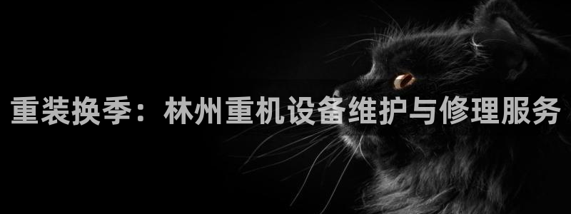 顺盈2娱乐找qv382223：重装换季：林州重机设备维护与修