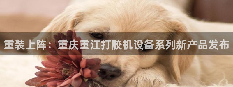 顺盈娱乐招商助判官333OO：重装上阵：重庆重江打胶机设备系