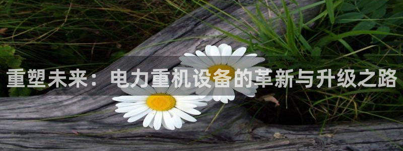 盈顺棋牌娱乐室：重塑未来：电力重机设备的革新与升级之路