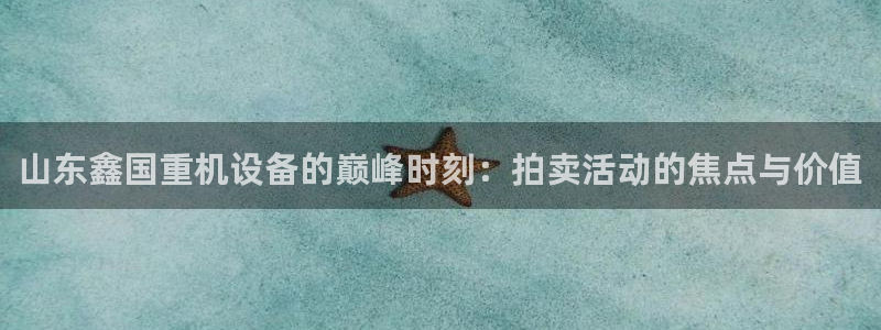 顺盈娱乐主管去判官333OO：山东鑫国重机设备的巅峰时刻：拍