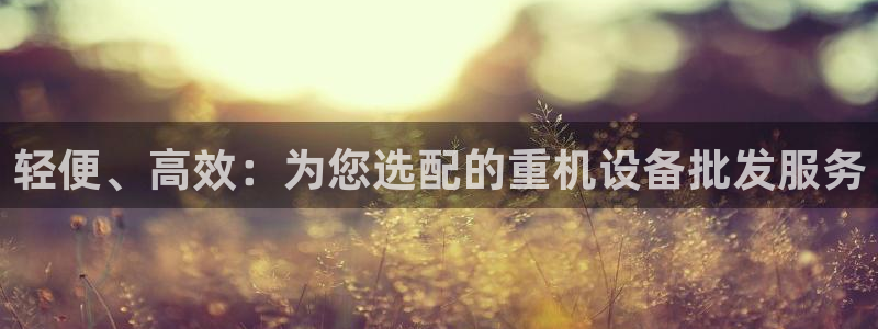 顺盈娱乐在线开户怎么样：轻便、高效：为您选配的重机设备批发服