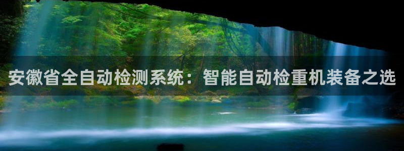 清远顺盈娱乐公司电话：安徽省全自动检测系统：智能自动检重机装