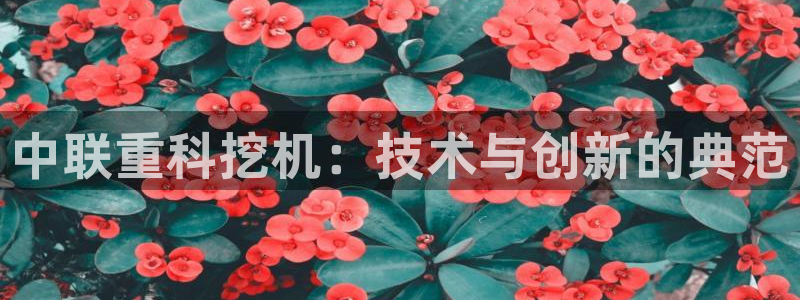 顺盈2娱乐主管：中联重科挖机：技术与创新的典范