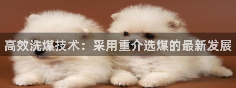 顺盈娱乐痛333OO：高效洗煤技术：采用重介选煤的最新发展