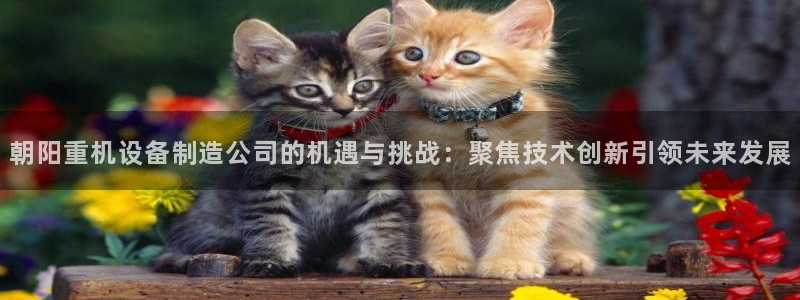 顺盈娱乐登录地址在哪儿：朝阳重机设备制造公司的机遇与挑战：聚