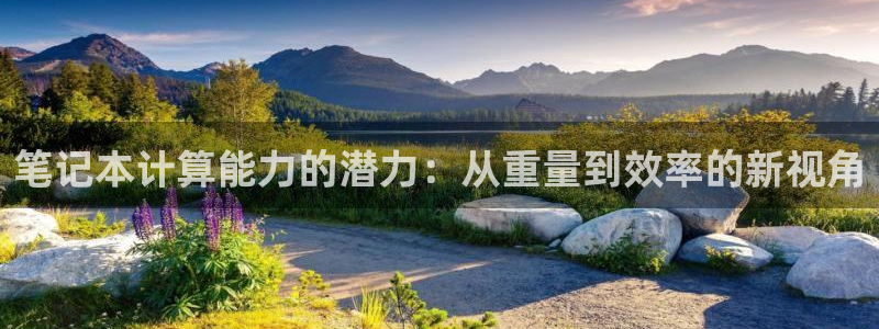 顺盈娱乐28是什么意思：笔记本计算能力的潜力：从重量到效率的