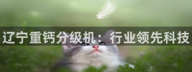 顺盈娱乐注册登录平台：辽宁重钙分级机：行业领先科技