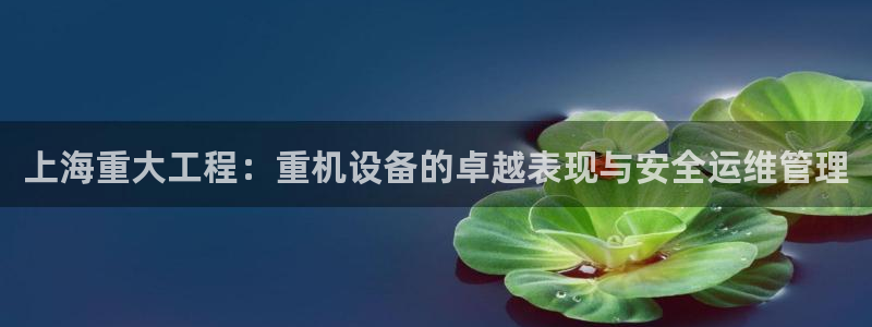 顺盈娱乐主管经判官333OO：上海重大工程：重机设备的卓越表