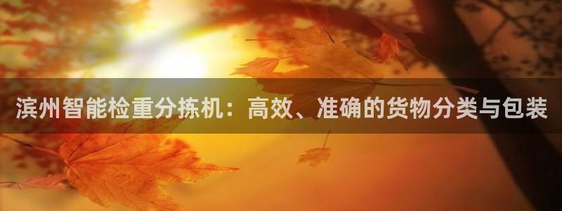 顺盈娱乐招商：滨州智能检重分拣机：高效、准确的货物分类与包装