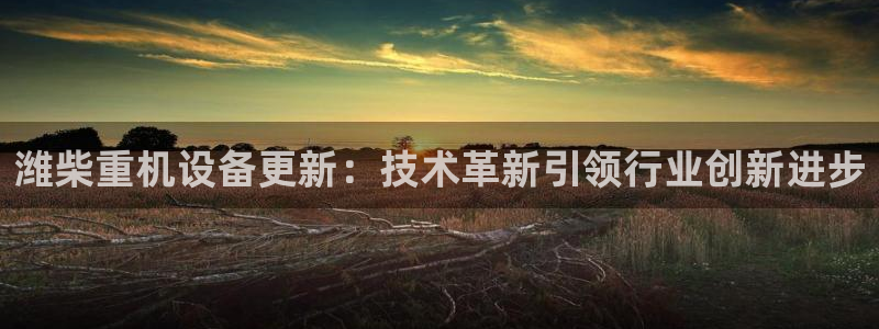 顺盈娱乐注册九判官333OO：潍柴重机设备更新：技术革新引领
