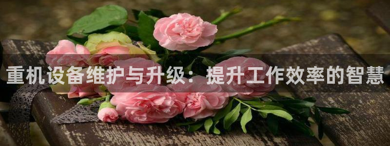 顺盈娱乐开户注册：重机设备维护与升级：提升工作效率的智慧