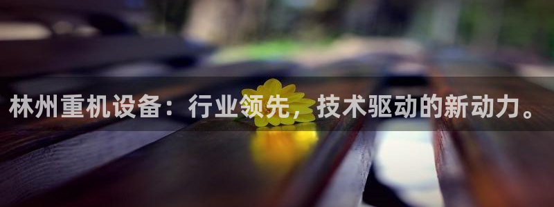 顺盈娱乐下载安装官方版：林州重机设备：行业领先，技术驱动的新