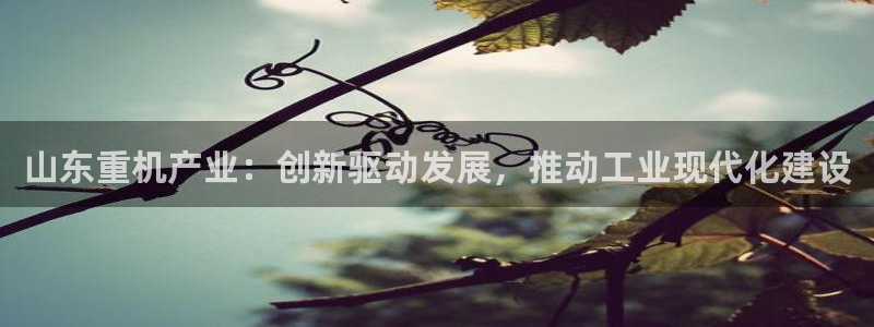 顺盈娱乐28是什么：山东重机产业：创新驱动发展，推动工业现代