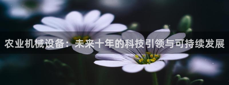 顺盈娱乐主管劳判官333OO
