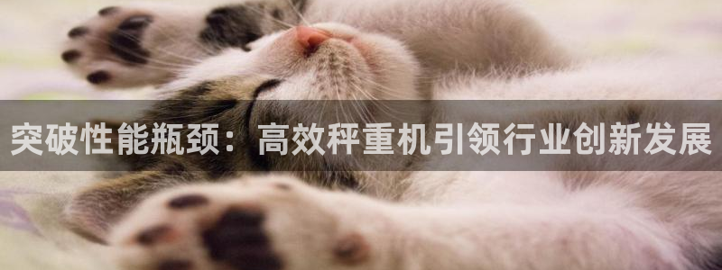 顺盈娱乐注册平台：突破性能瓶颈：高效秤重机引领行业创新发展